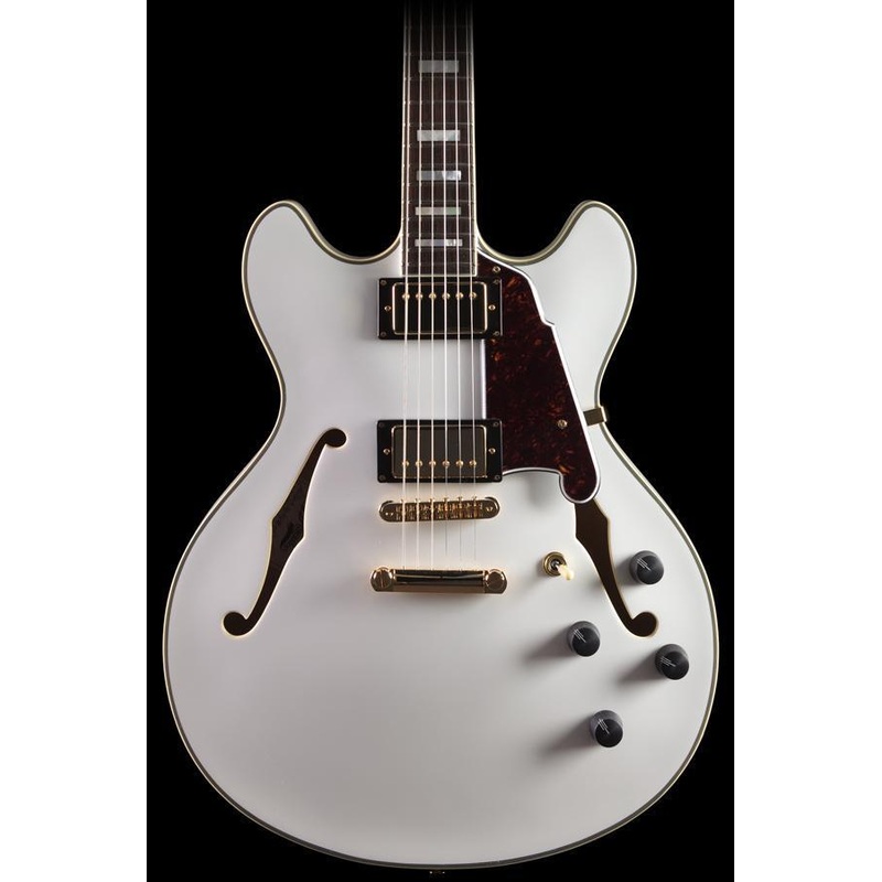 D'Angelico Excel DC White (083) - ULT975560819200
