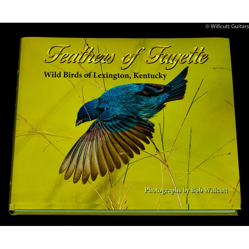 Feathers of Fayette Wild Birds of Lexington, Kentucky - ULT975560817070