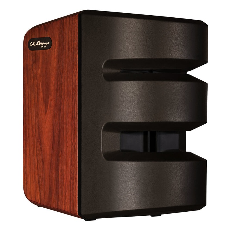 L. R. Baggs Synapse Personal PA System - ULT975560815664
