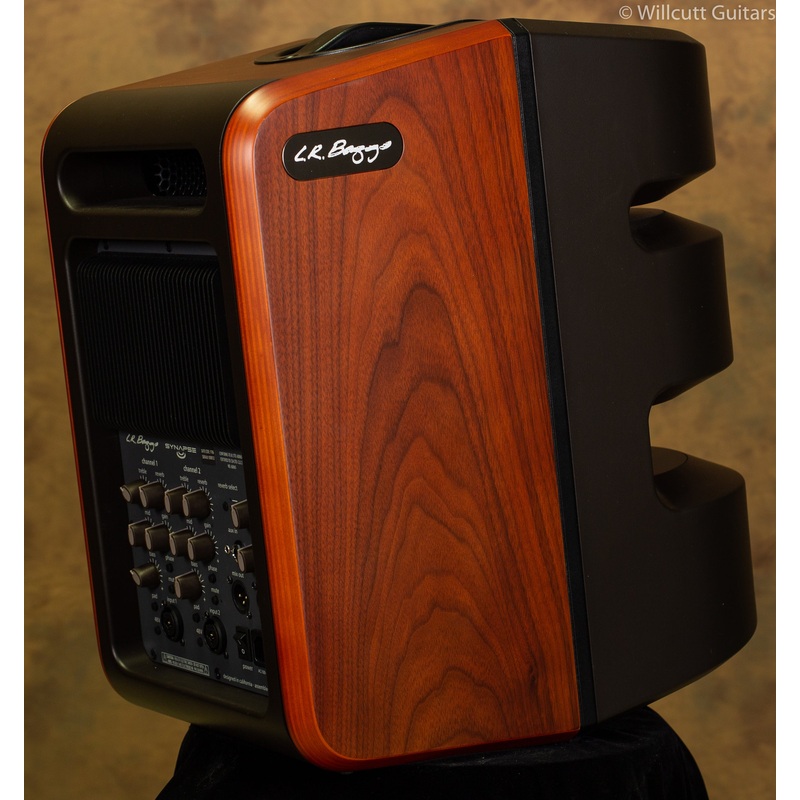 LR Baggs Synapse Personal PA System USED - ULT975560815321