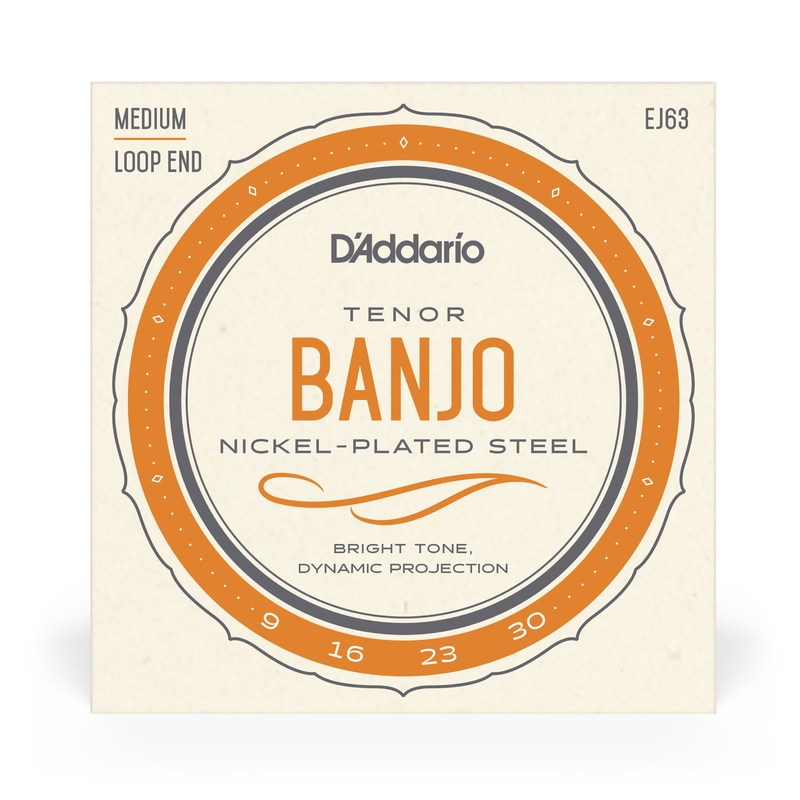 D'Addario EJ63, 4-String Tenor Banjo, Nickel, Medium 09-30 - ULT975560814785