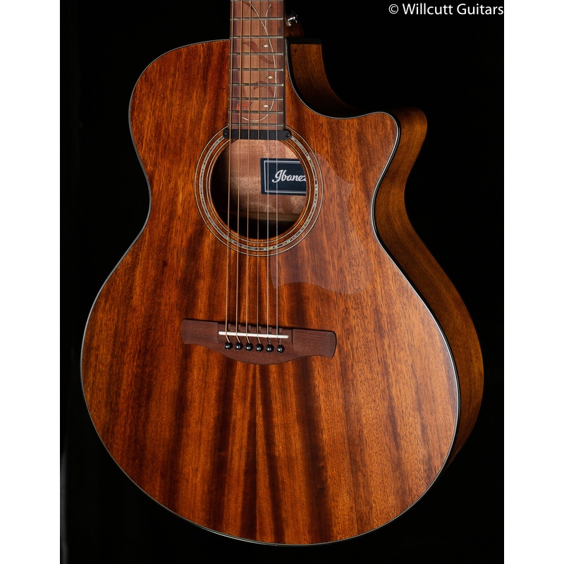 Ibanez AE SERIES ACS-EL AC GUITAR AE295LGS - ULT975560813973