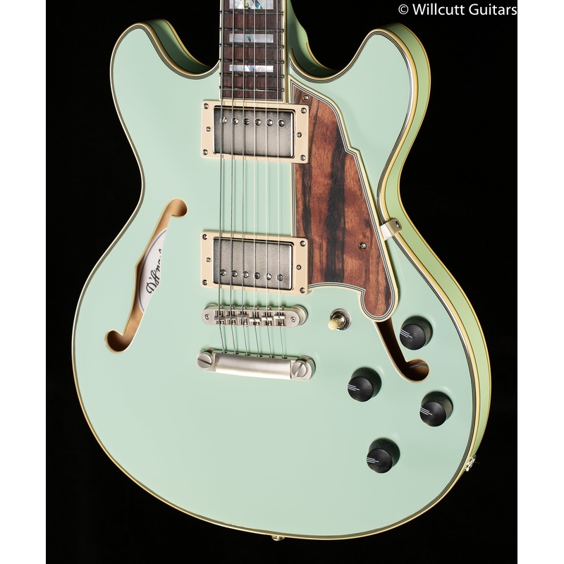 D'Angelico Deluxe DC Limited Edition Sage - ULT975560813127