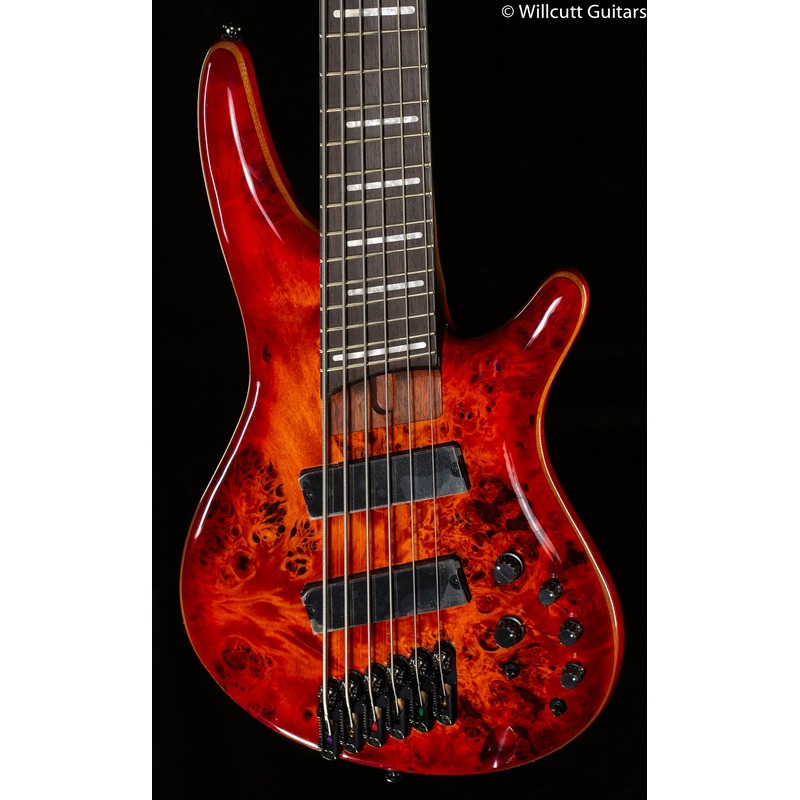Ibanez Bass Workshop SRMS806BTT Brown Topaz Burst Bass Guitar (174) - ULT975560812801
