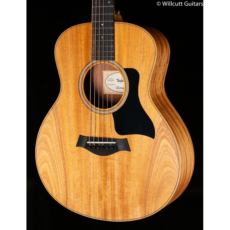 Taylor GS-Mini Mahogany Electric - ULT975560812900
