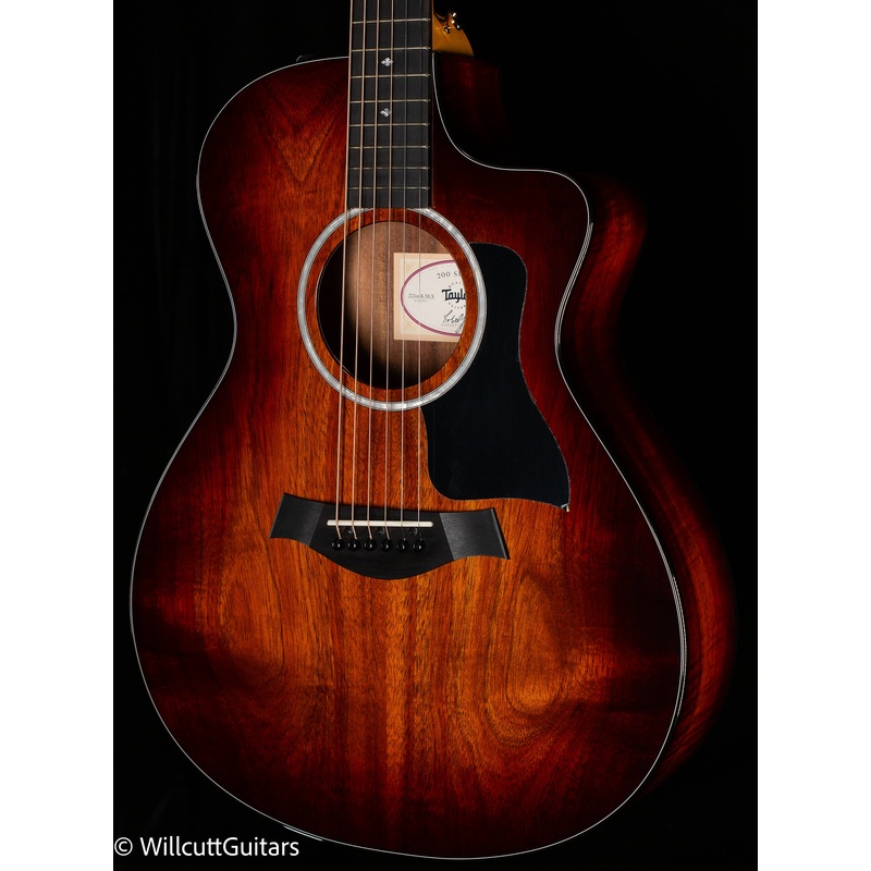 Taylor 222ce-K DLX (165) - ULT975560807654