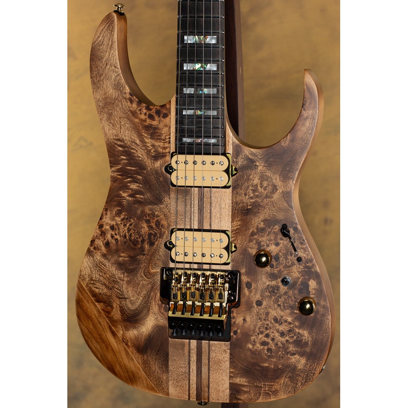 Ibanez RGT1220PB Premium Electric Guitar - ULT975560807176