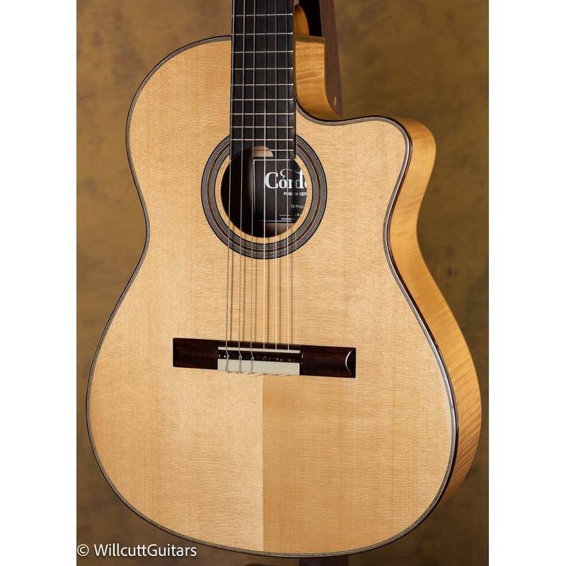 Cordoba Fusion 14 Maple w/ Gigbag - ULT975560806659