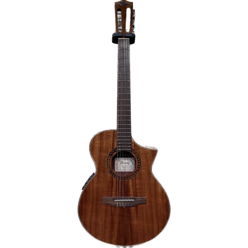Ibanez Exotic Wood Series Nylon String Acoustic Guitar Koa - ULT975560806735