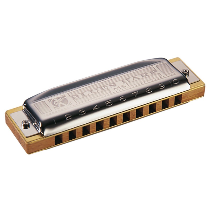 Hohner D Blues Harp Diatonic Harmonica