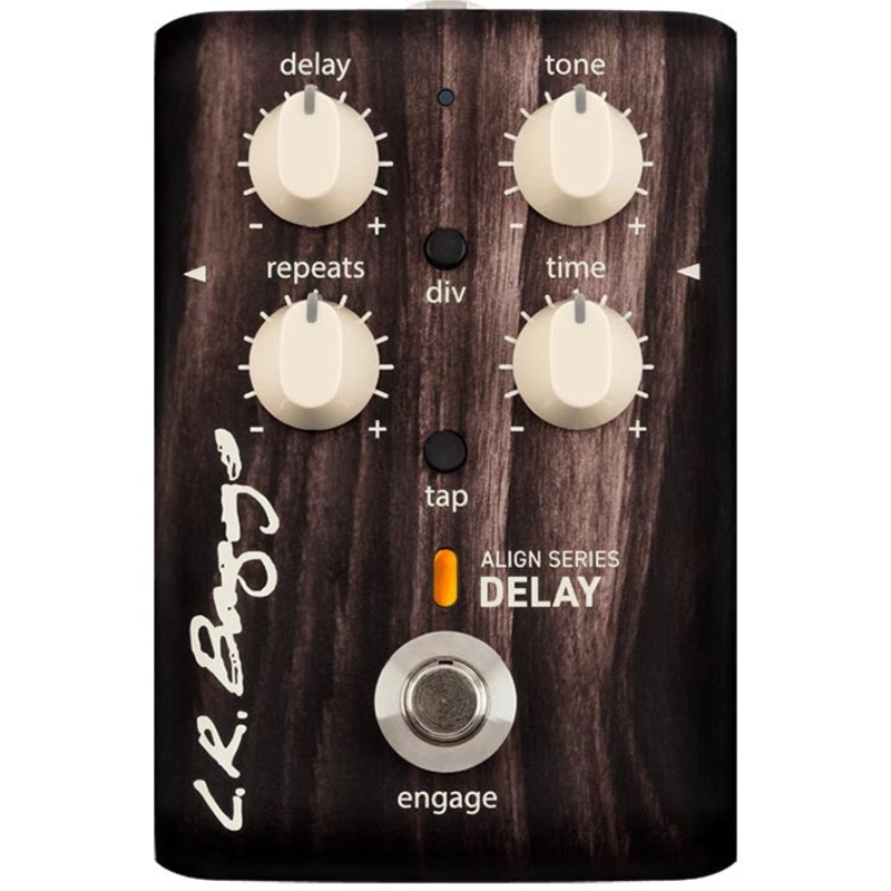 LR Baggs Align Delay