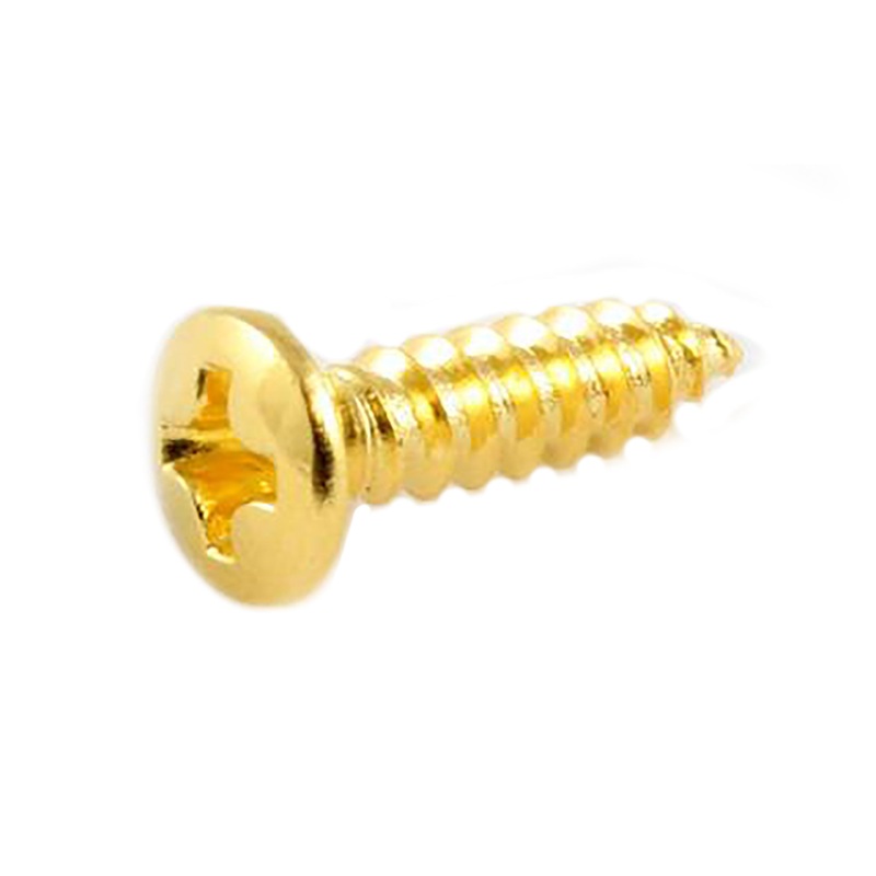 AllParts Pack Of 20 Gold Pickguard Screws