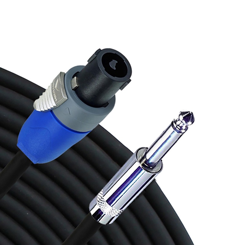 Rapco 3ft 14 Gauge Speaker Cable, Speakon To 1/4 Inch