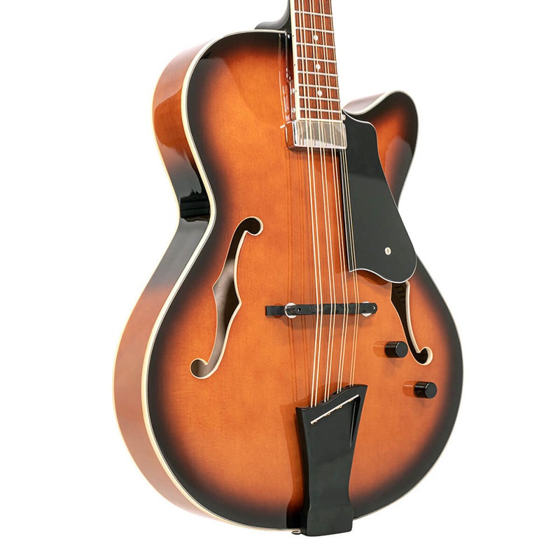 Gold Tone Mandocello With Pickup And Case