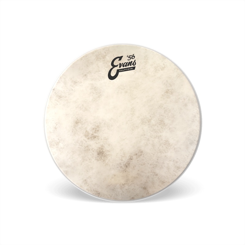 Evans 12" Calftone Tom Head